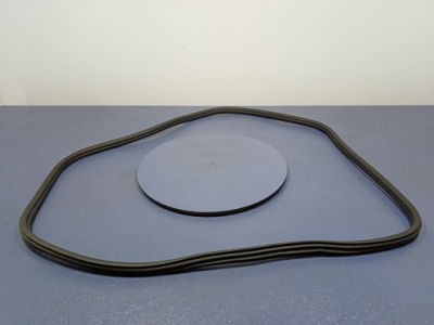 Bmw x3 g01 f97 прокладка дверь задняя задняя 7393449 фото №1