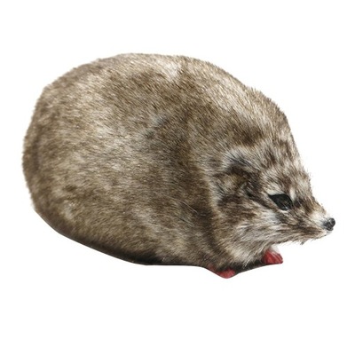 1 plush hedgehog figurine