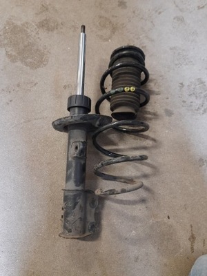 Амортизаторы передний fiat doblo ii 1.4 t-jet фото №1