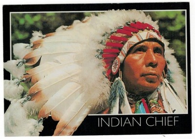 Pocztówka Stany Zjednoczone Indianie wódz