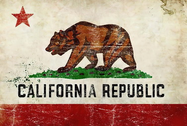 Tablica Ozdobna Blacha California Republic Bear