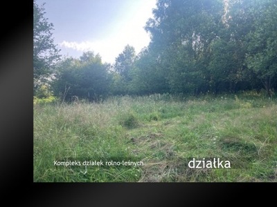 Działka, Żywiec, Żywiecki, 3927 m²