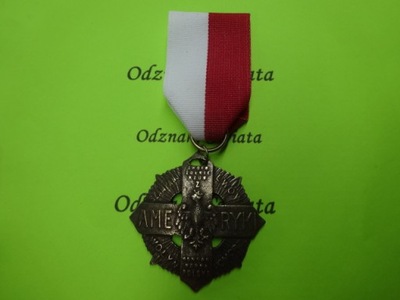 Krzyż Żołnierzy Polskich z Ameryki