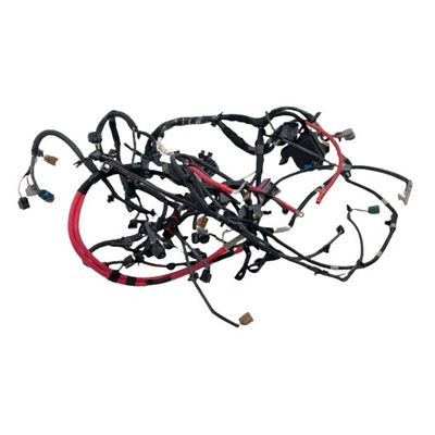 Електропроводка відсік двигуна renault scenic iii фото №1