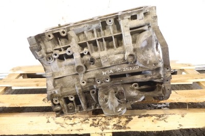 Блок двигуна kia sportage iii 2.0 фото №1
