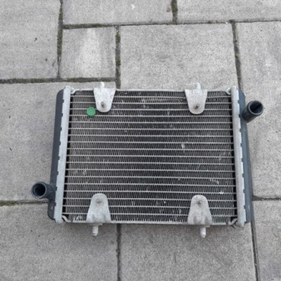 Радиатор воды mercedes g w463 a4635010200 фото №1