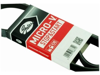 Ремінь багатореберний renault master iii 2.3 10- opel movano b 2.3 10- фото №1