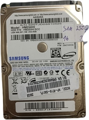 Dysk twardy Samsung HM250HI 250GB SATA II