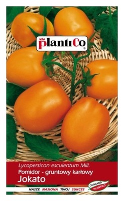 Pomidor gruntowy karłowy JOKATO 0,5g PlantiCo