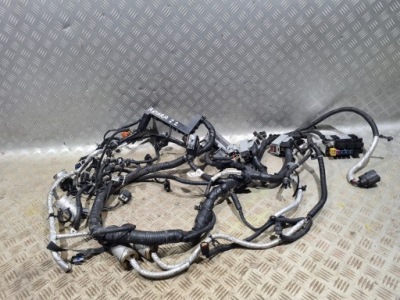 Джгут електропроводка двигуна opel antara 2.2 cdti фото №1