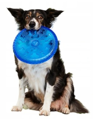 Frisbee dla psa APORT DLA PSA GRYZAK DYSK 22cm