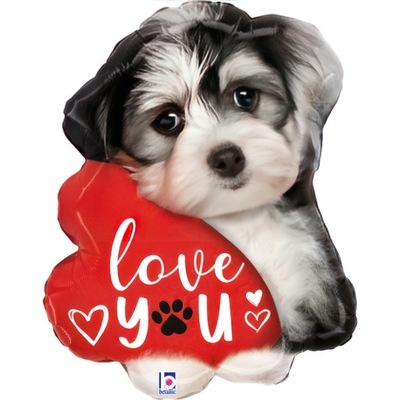 Pies Love You Puppy 24" - 61 cm - PACK