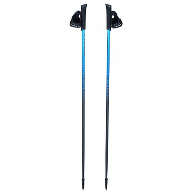 Kije Viking Pro-Trainer Nordic Walking 110 cm