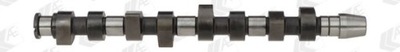 AE Camshaft CAM670 4044197122301 