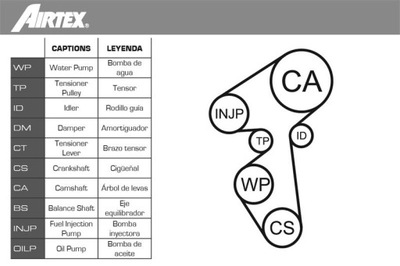 AIRTEX WPK-167801 PUMP COOLING + SET BELT ROZRZ  