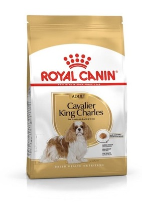 ROYAL CANIN BHN Cavalier King Charles Spaniel Adult - sucha karma dla psa d