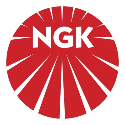 NGK PLUG IGNITION CR9EK (NR 4548) (U27ETR)  