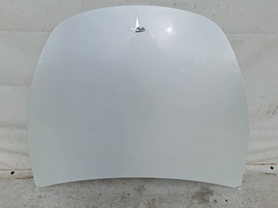 Tesla y капот кришка двигуна кришка багажника фото №1