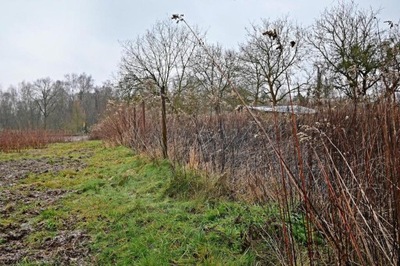 Działka, Kazimierz Dolny, 3000 m²