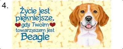 Kubek z rasą psa - Beagle