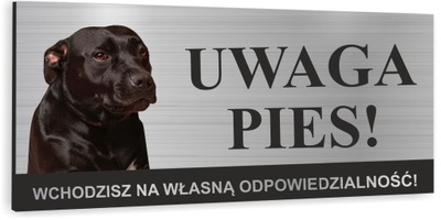 Tabliczka UWAGA PIES STAFFORDSHIRE BULL TERRIER