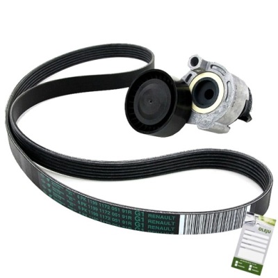 Натяжитель ремень многоручьевой к renault 117203694r фото №1