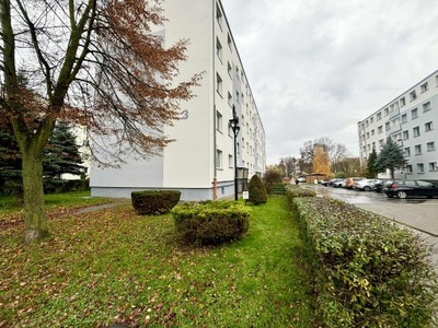 Mieszkanie, Malbork, Malborski, 42 m²