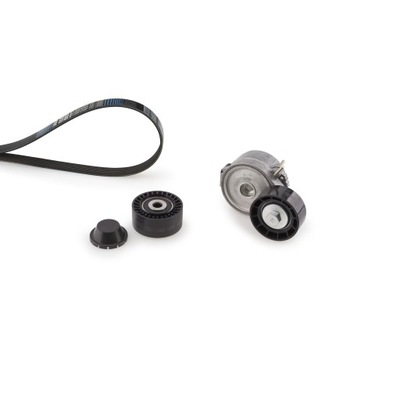 Gates k136pk1700 набор ремень клиновой многоручейковый фото №1