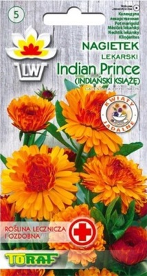 NAGIETEK LEKARSKI 'INDIAN PRINCE' - "Indiański Książę" (T)