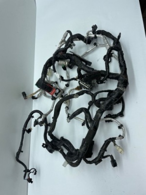 Жгут двигателя chrysler pacifica 1629ac фото №1