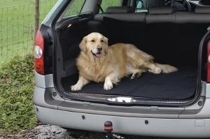 Mata samochodowa pokrowiec do bagażnika dla psa