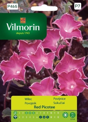 Wilec purpurowy Red Picotee 1g Vilmorin Garden