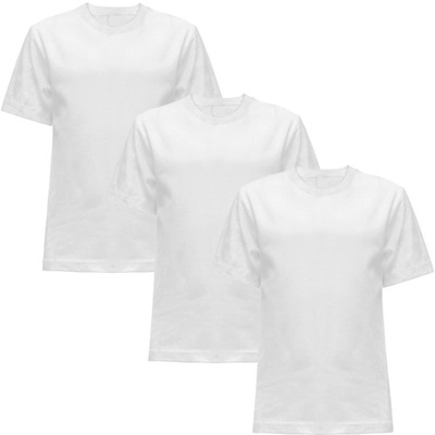 3-pak koszulka t-shirt biała WF SZKOLNA 110/116