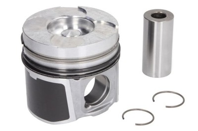 PISTON NURAL 87-137500-10  