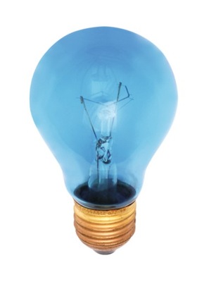 Żarówka lampa światła dziennego Terrarium blue 60W