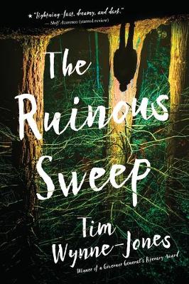 Tim Wynne-Jones - The Ruinous Sweep