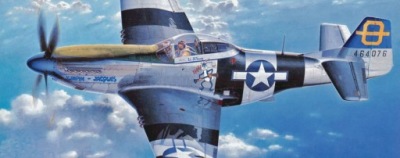 Hasegawa 1:72 North American P-51D Mustang