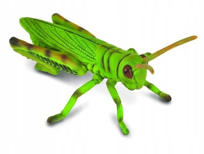KONIK POLNY - Grasshopper - CollectA - 88352