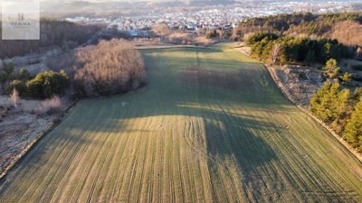 Działka, Nowe Miasto Lubawskie, 39200 m²