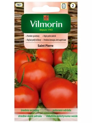 Pomidor gruntowy karłowy Saint Pierre 1g Vilmorin