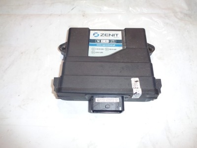 COMPUTADOR UNIDAD DE CONTROL GAS 110R-00 6206  