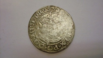 Moneta Zygmunt I Stary grosz Toruń 1530