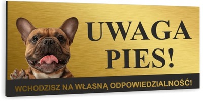 Tabliczka UWAGA ZŁY PIES BULDOG FRANCUSKI złote