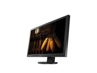 Monitor 23' EIZO EV2333W FullHD DP DVI VGA PIVOT