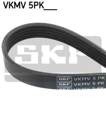 SKF VKMV 5PK1811 CORREA /MICRO/ 5PK/1811  