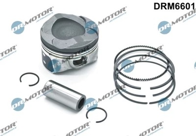 DRM6601/DCM PISTÓN KPL.FORD ECOBOOST  