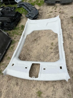 Citroen c4 cactus потолок панорама фото №1