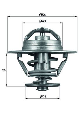 MAHLE ORIGINAL TX 93 79D TERMOSTAT, CHLADIVO  