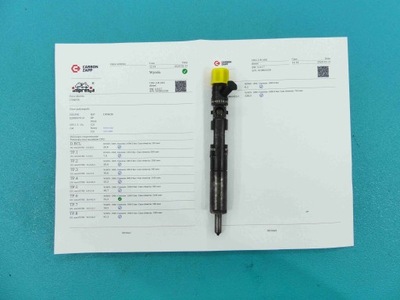 TESTED NOZZLE RENAULT MEGANE II 1.5 DCI  