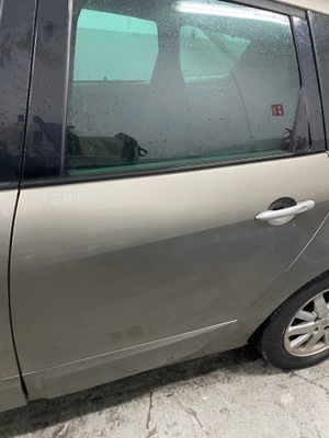 Двері scenic iii tehnk фото №1